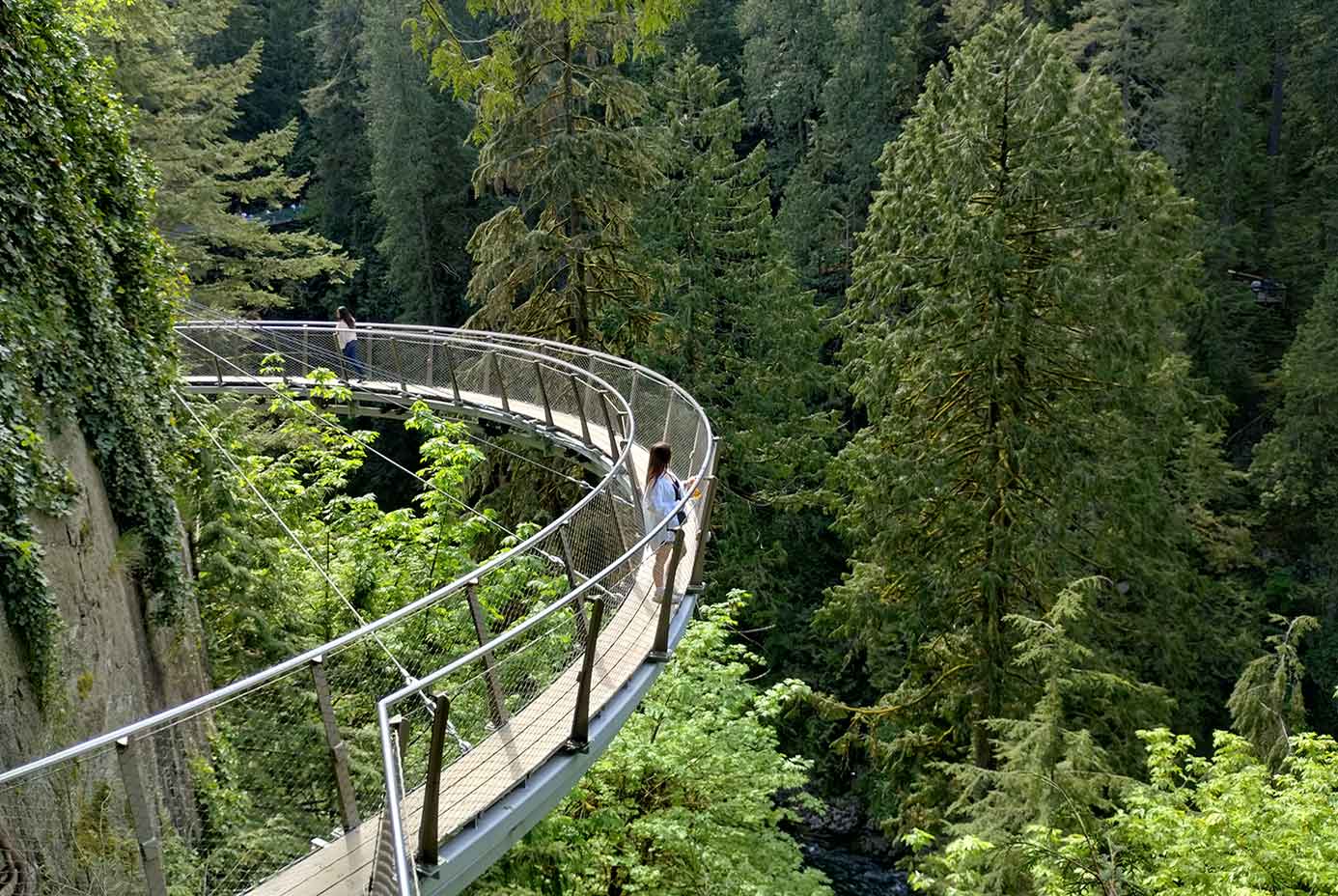 image for Capilano Suspension Bridge